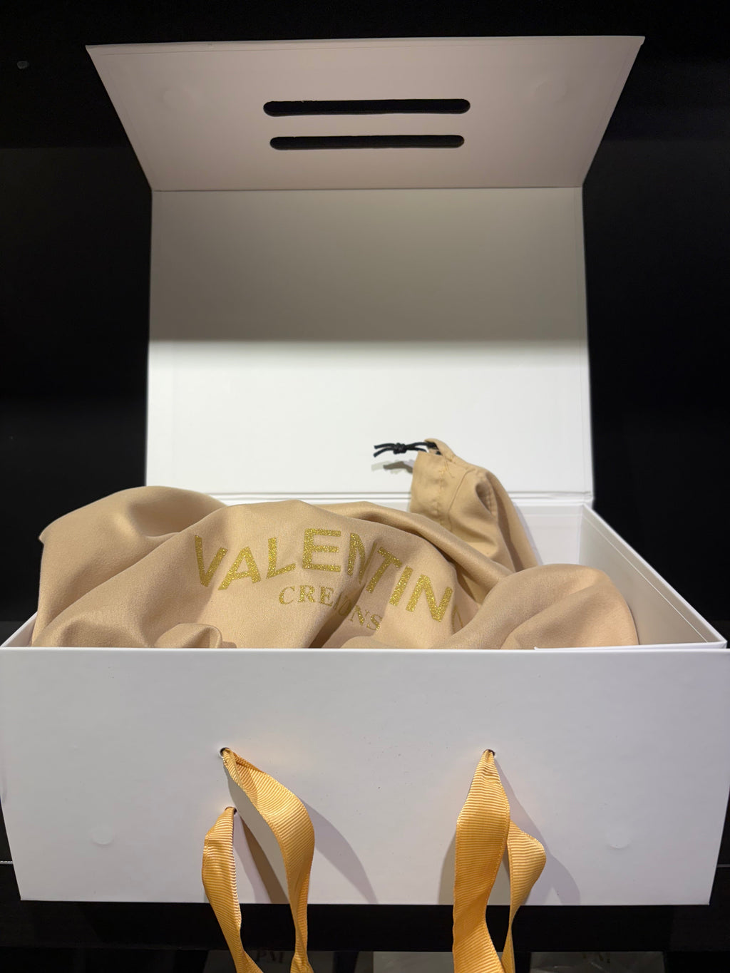 MiniBags Valentino